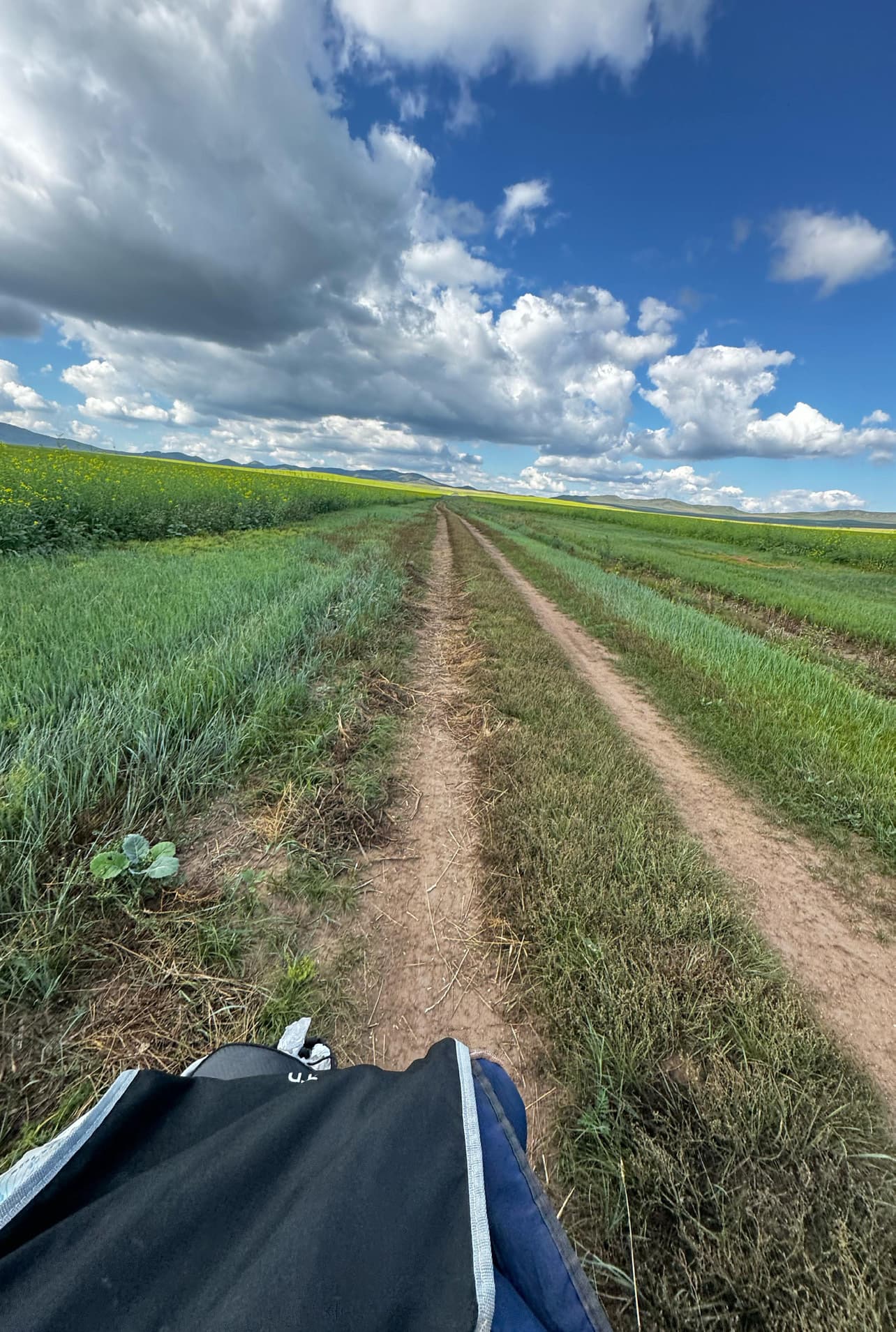 The view from Ranjith's bicycle along an unpaved steppe road in Mongolia